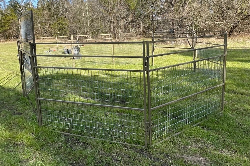 2x8 Big Pig Panel Trap. Two Gates and 8 Panels gives you the largest area to trap wild hogs.