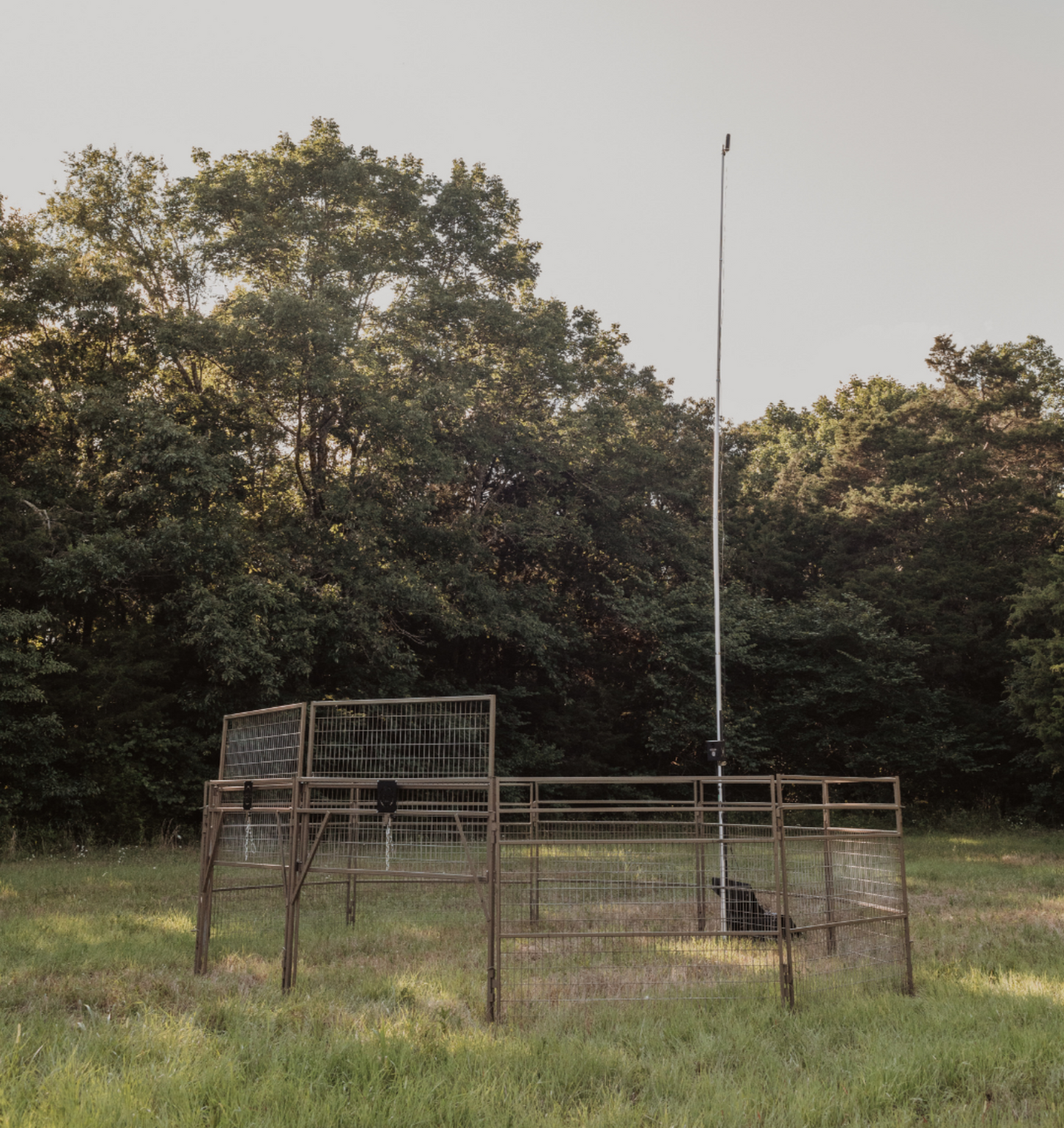 Universal HogEye 30' Extension Pole