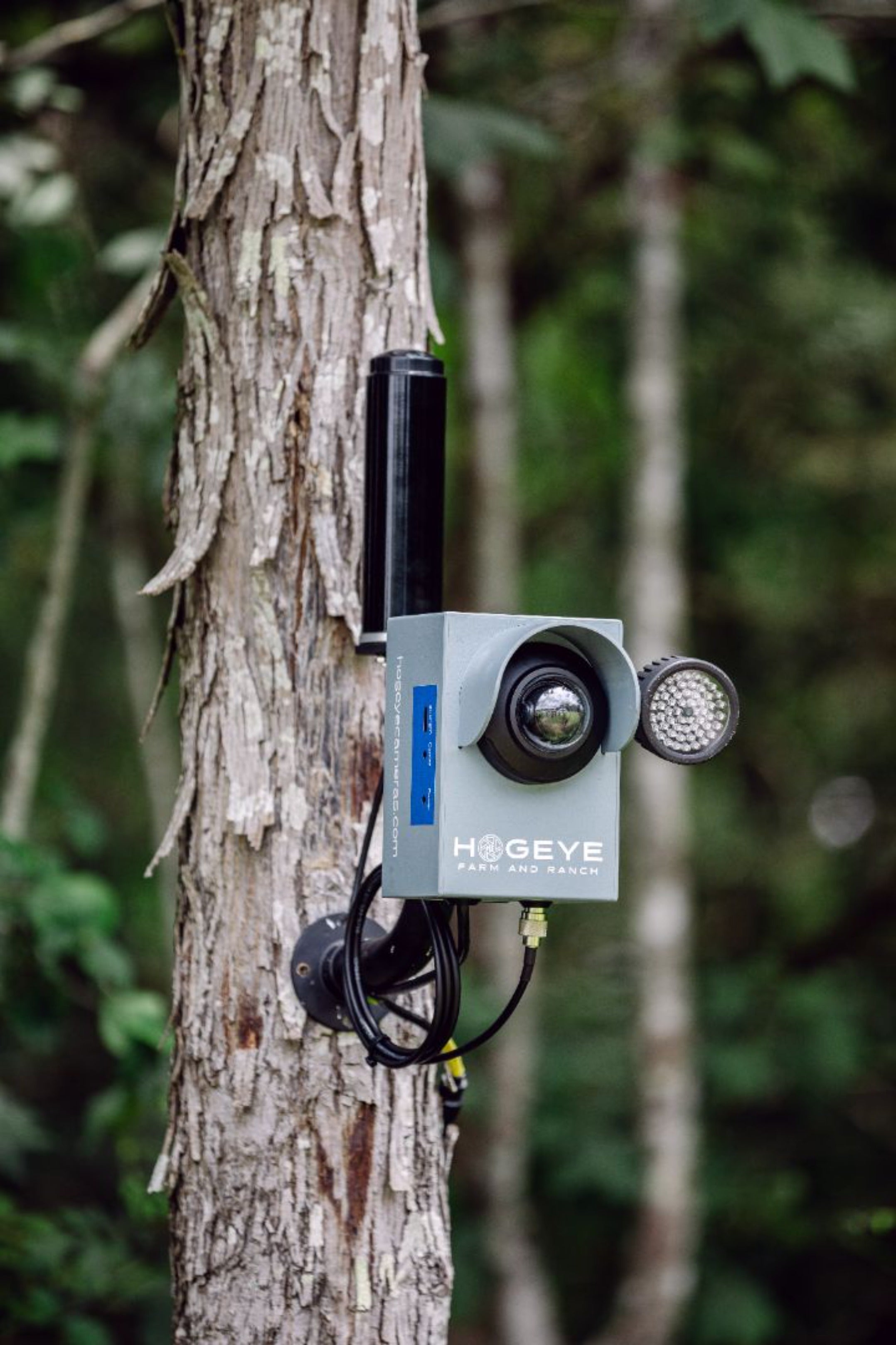 HogEye Farm and Ranch Camera System – HogEye Cameras