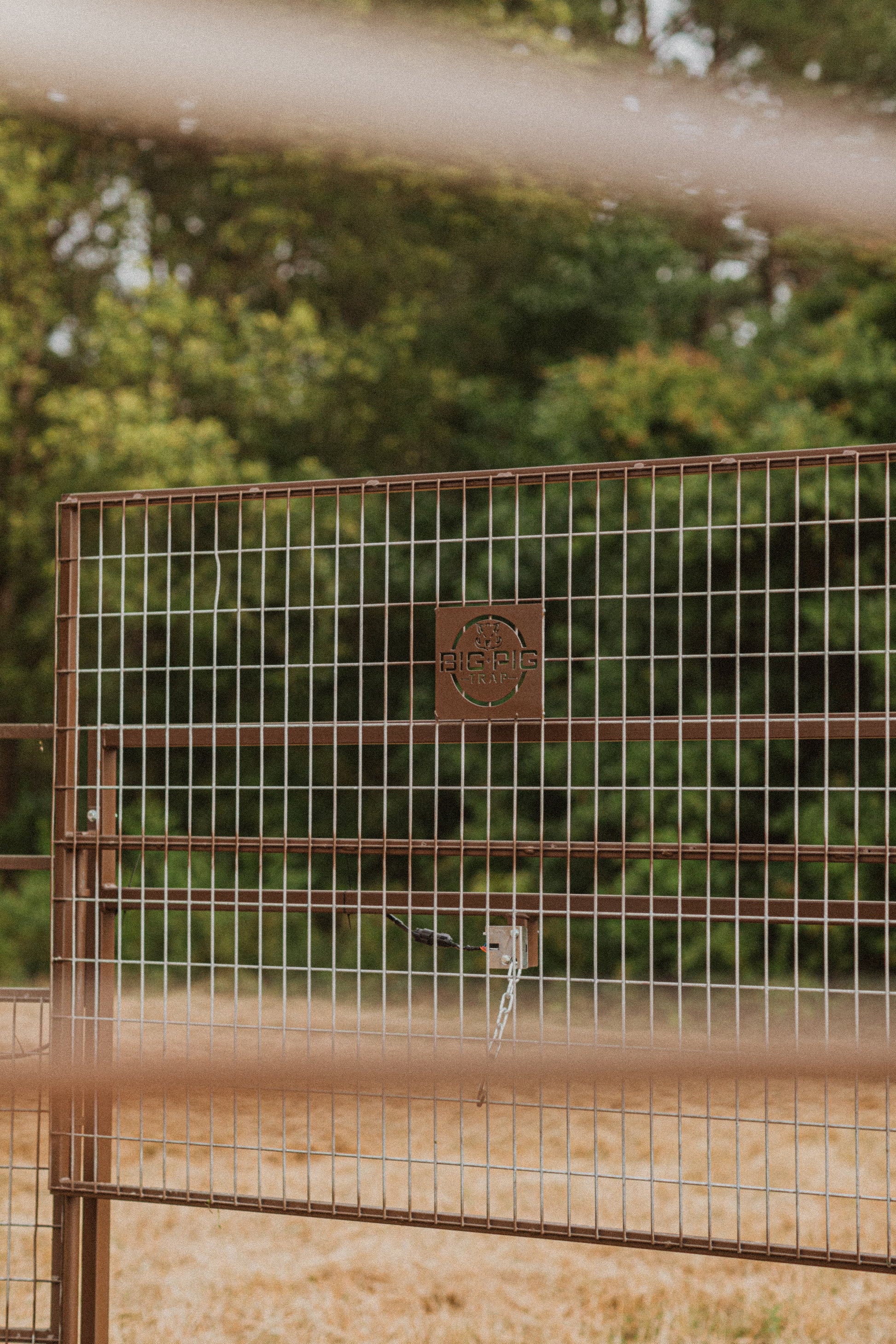 Big Pig Panel Gate. Give wild hogs more entry point with  up to 4 panel gates attached to the the panel trap. 