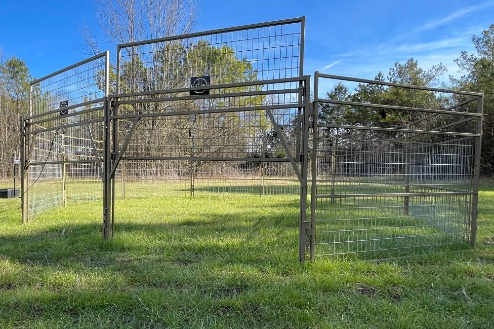 2x8 Big Pig Panel Trap to trap wild hogs.