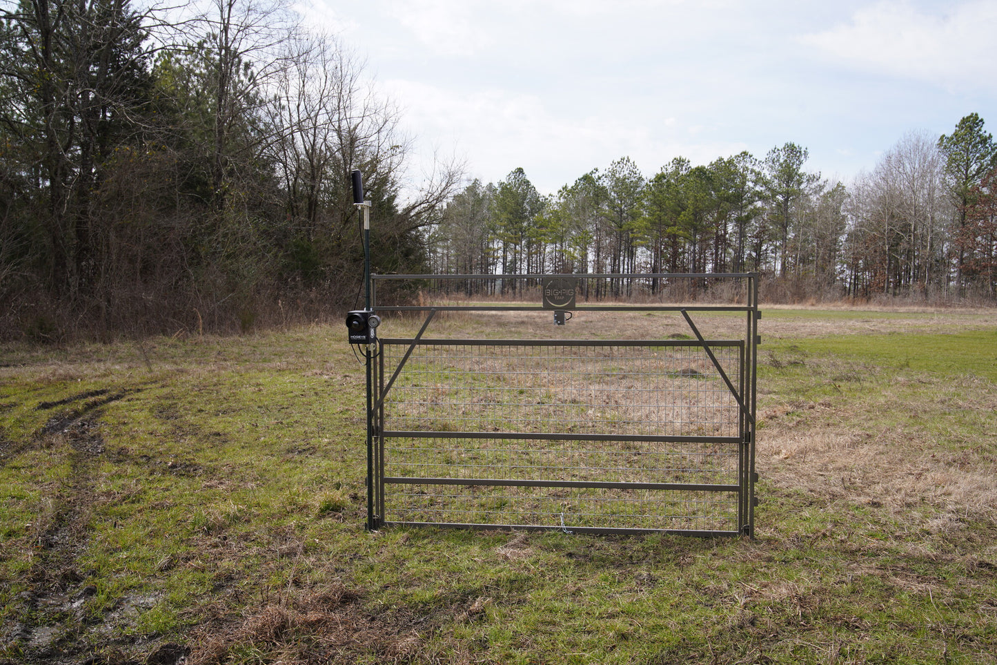 Big Pig Gate – HogEye Cameras