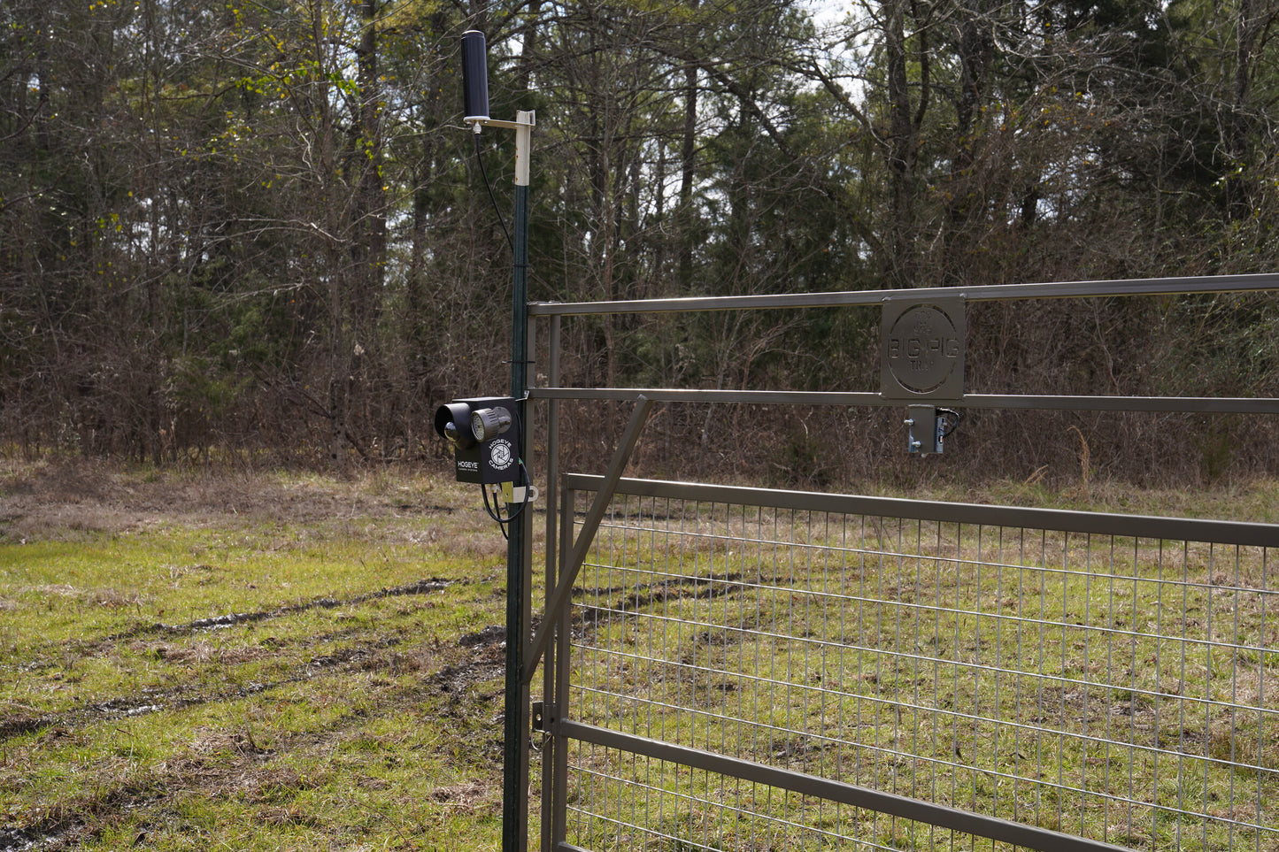 HogEye Camera attached to a t-post and HogEye Single Panel Gate.