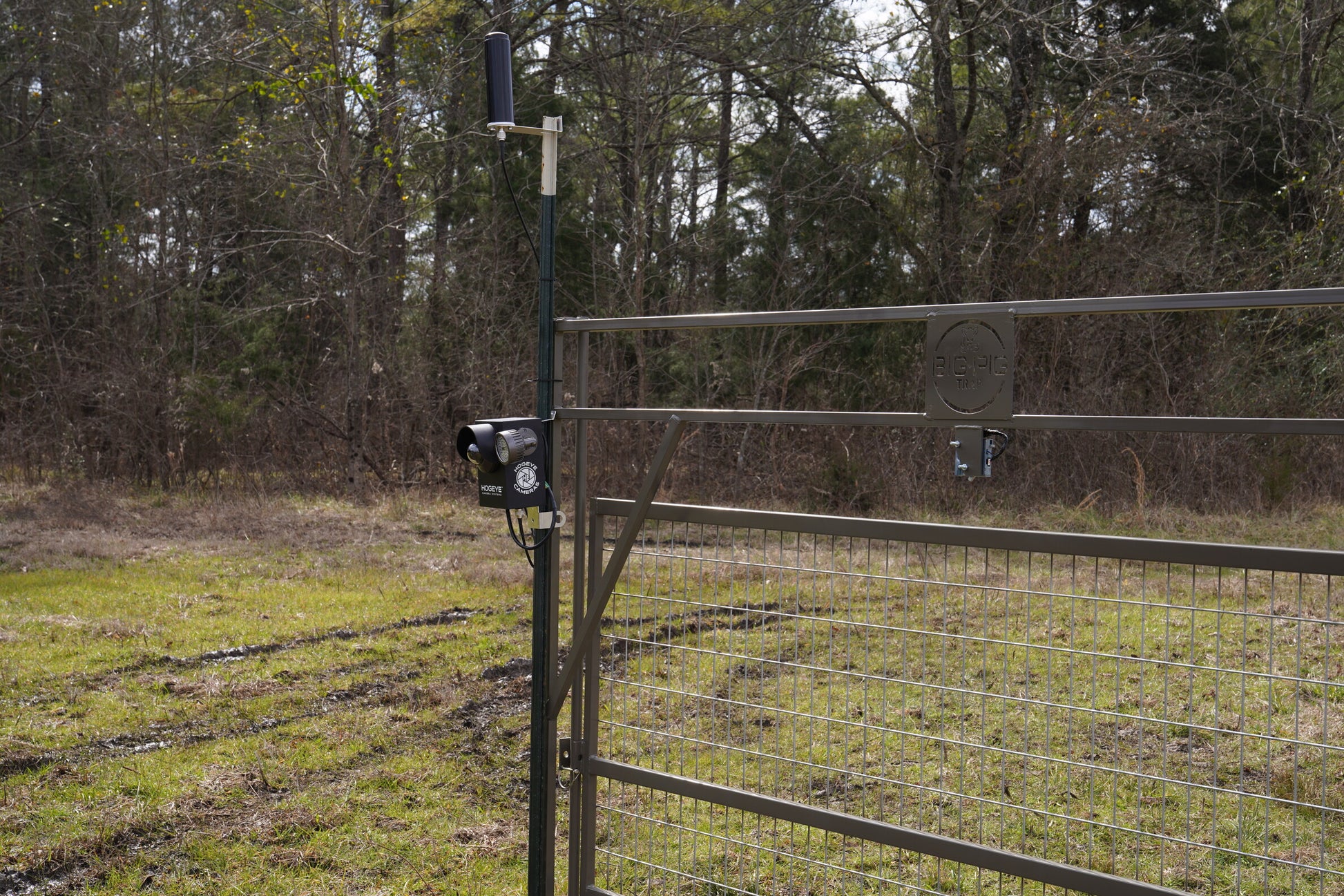 HogEye Camera attached to a t-post and HogEye Single Panel Gate.