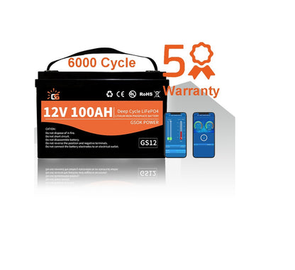 100ah LIFEPO4 Lithium Battery