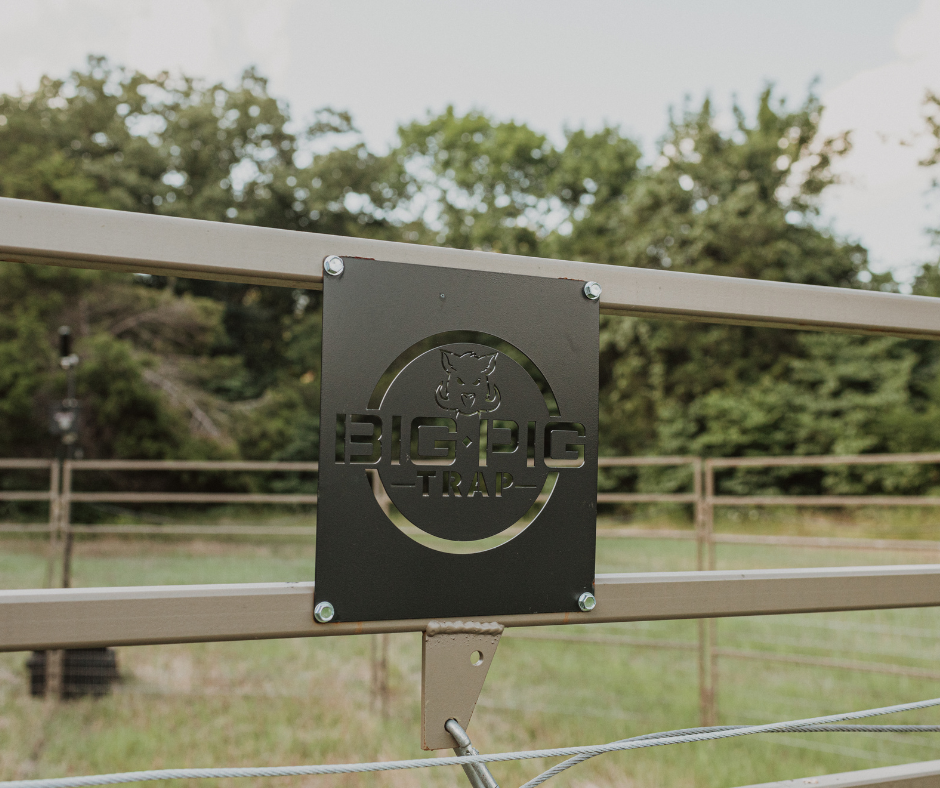 Big Pig Trap logo on a Panel Trap to catch larger wild hog sounders. 